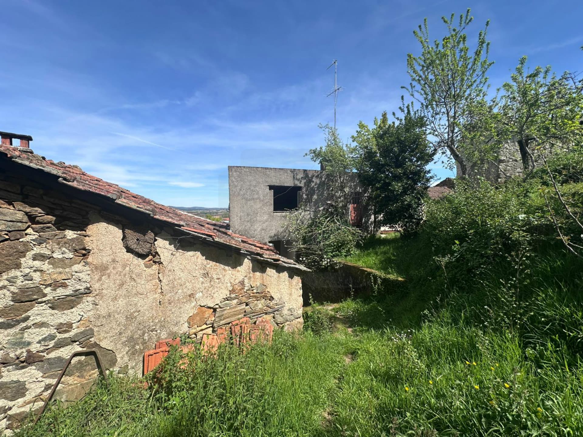 Property 14