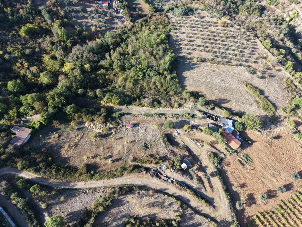Quinta em Bragança – Oportunidade Única de Investimento 🌿🏡