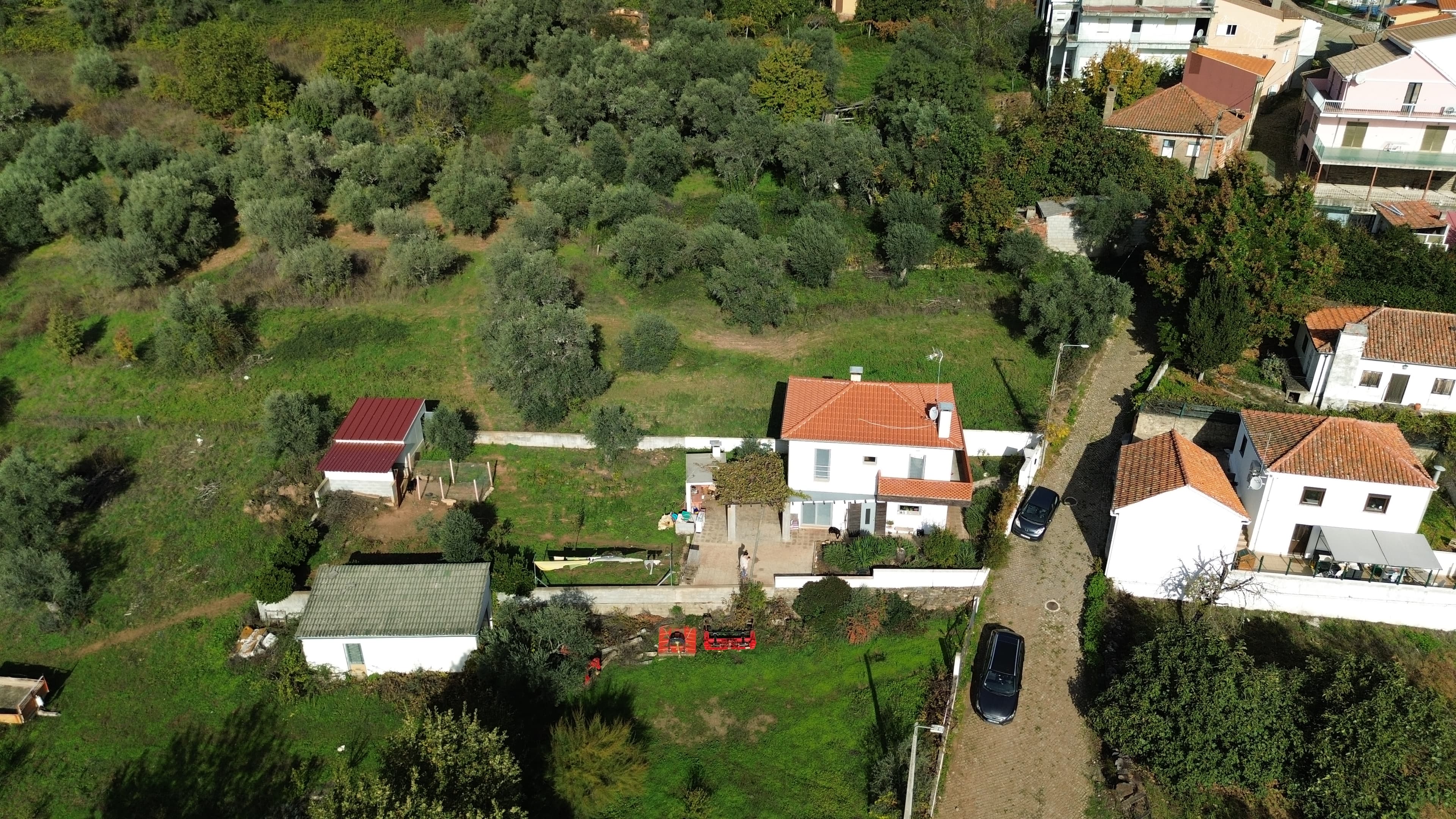 Property 25