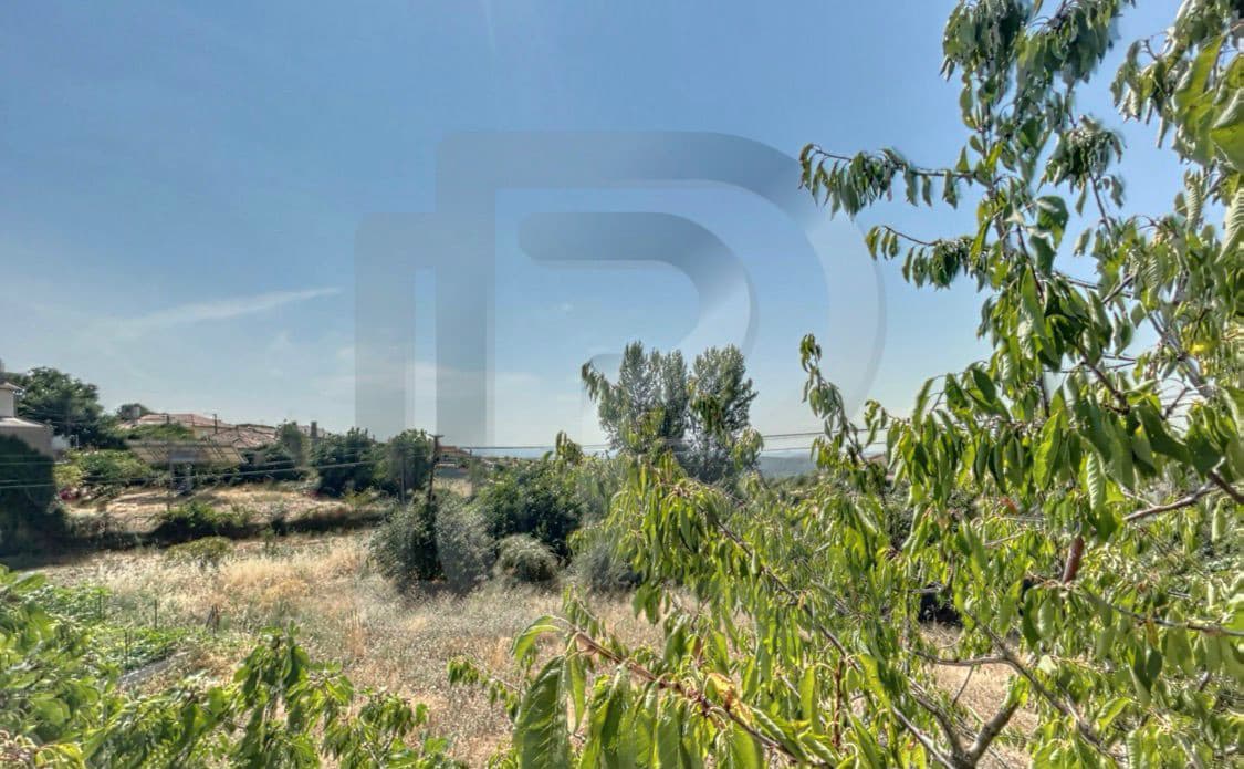 Property 6