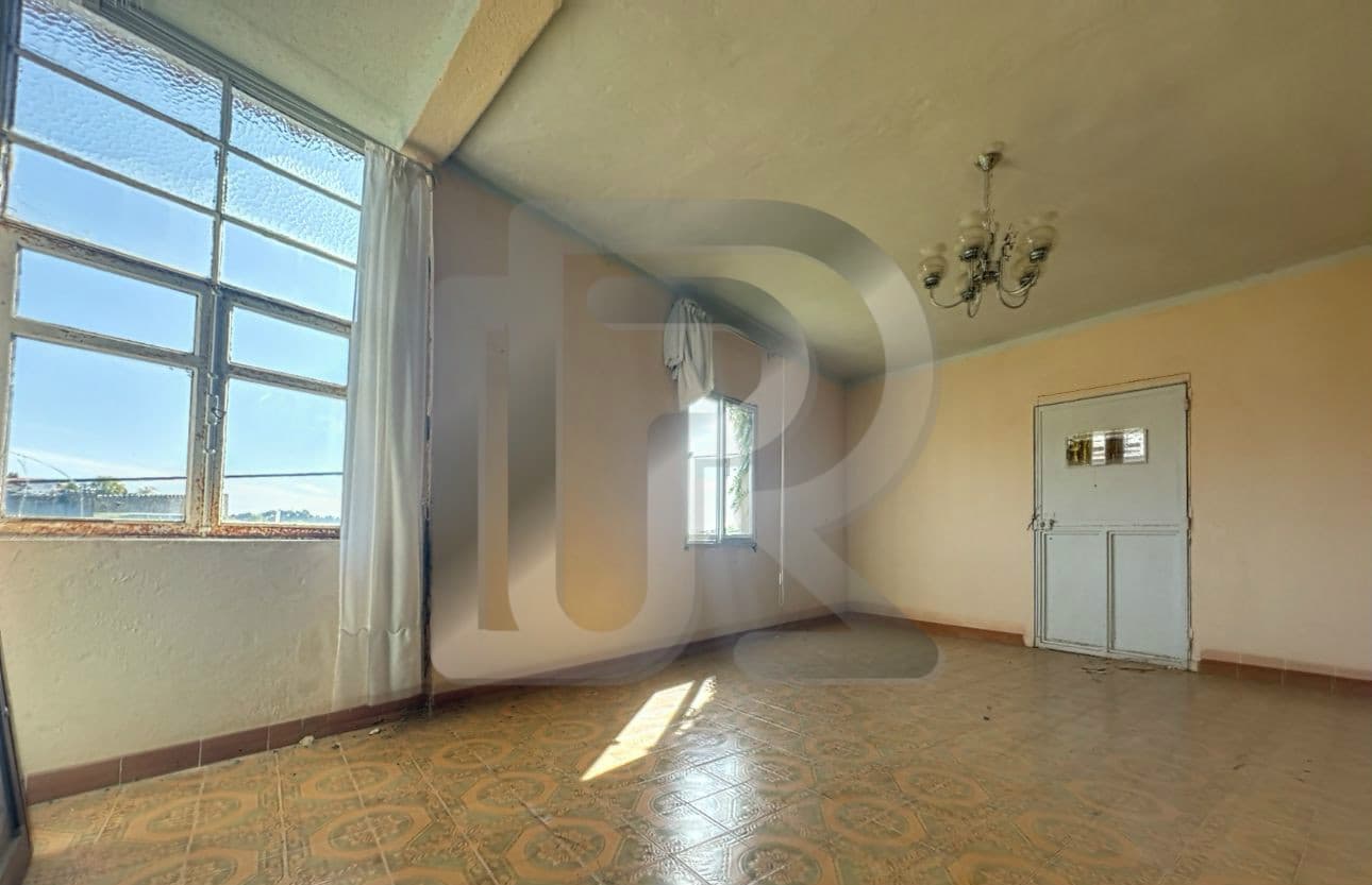 Property 19