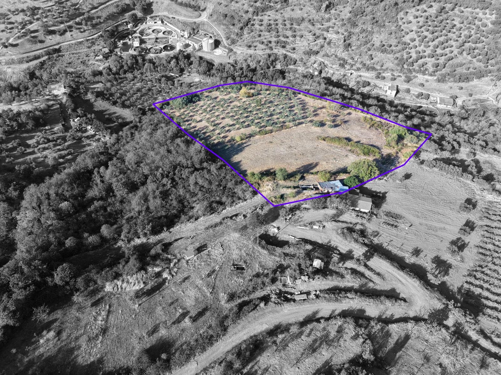 Quinta em Bragança – Oportunidade Única de Investimento 🌿🏡